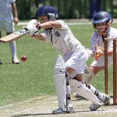 cricket vietnam learn more